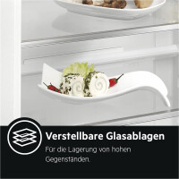 AEG RDB424E1AW freistehender Kühlschrank mit Gefriersch