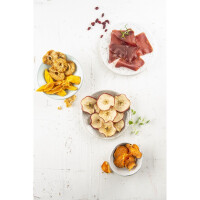 Fritel DH2025 Dörrautomat 4