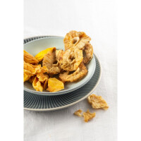 Fritel DH2025 Dörrautomat 5