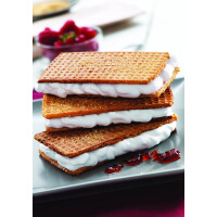 Tefal XA8005 Snack Collection Platte Waffeln Nummer 5 Schwar